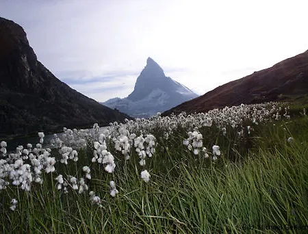 Otel Riffelhaus 1853 Zermatt